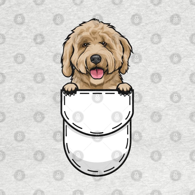 Funny Labradoodle Pocket Dog by Pet My Dog